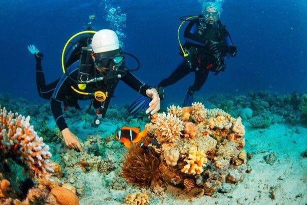 Shore Scuba Diving at Havelock