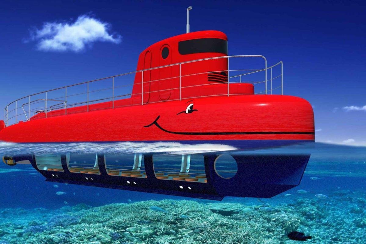 Glass Bottom Boat Ride in North Bay