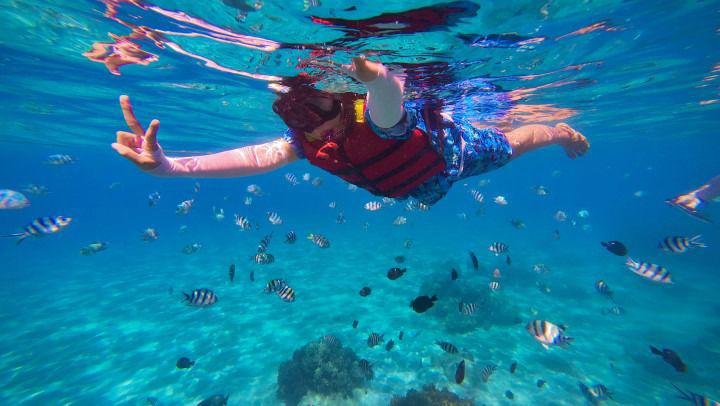 Deep Sea Snorkeling at Havelock Elephant Beach