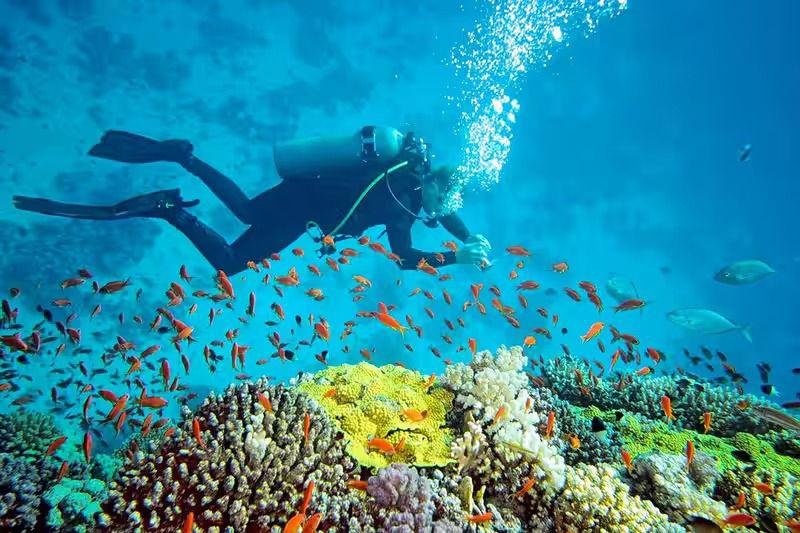 Snorkeling in Bharatpur Beach, Neil Island